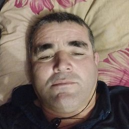 �����, ��������, 45 ���