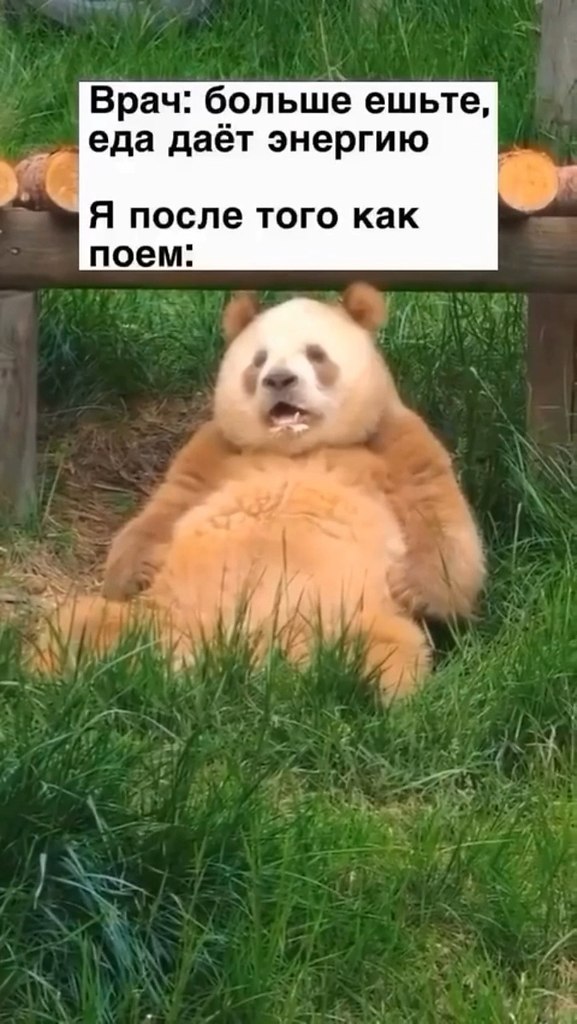 �����, � ��� �������?!