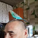  , -, 58  -  19  2025