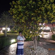 ������, 51 ���, ���������