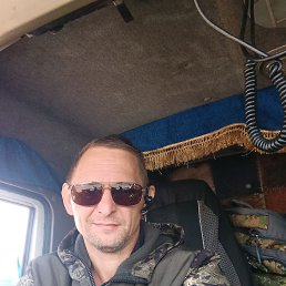, 41,  