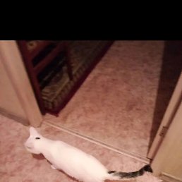 ������, ������, 47 ���