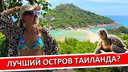 �� ���, �������: ����, ���������, ���, ������ ���� ����, ���� �����, �������� ������