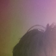 �����, 19 ���, ������