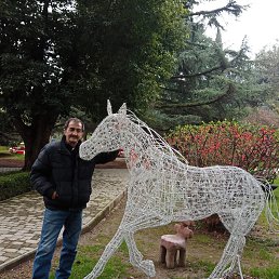 ���� ������, ���������, 64 ���� - ��������� 25 ������� 2026