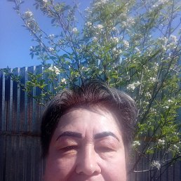  , 59, 