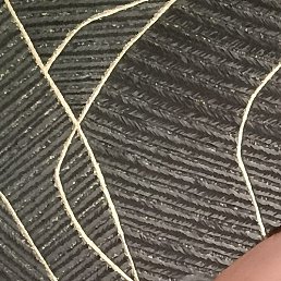 ����, ������, 36 ���