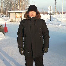 , 53,  
