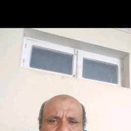 , 56, 