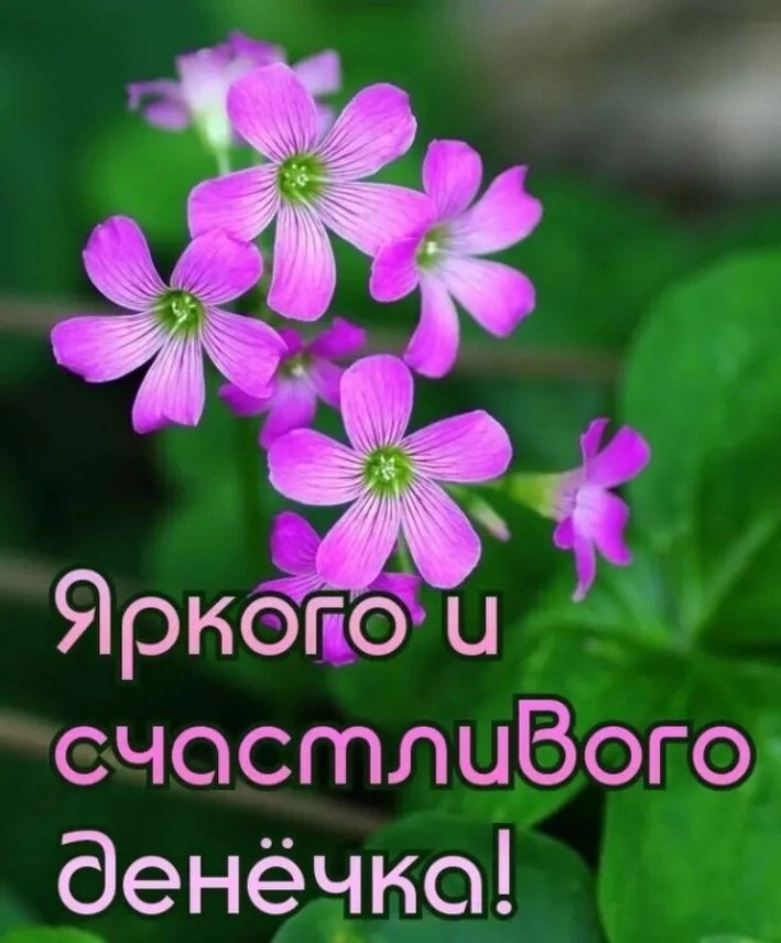   ,    . - 8  2024  12:44
