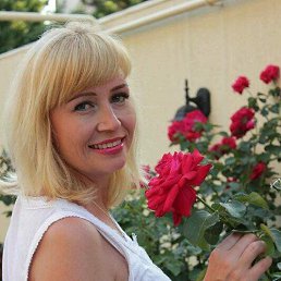 ���� ��������, �����������, 50 ��� - ��������� 4 ������ 2024