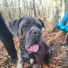 ���� ����, ������ �����, 75 ��� - ��������� 24 ������ 2023