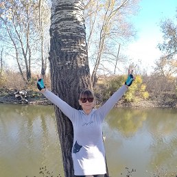 , 61, 