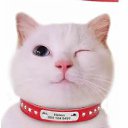 ���� ������, ������, 53 ���� - ��������� 11 ������� 2026 � ������ ���� ����������