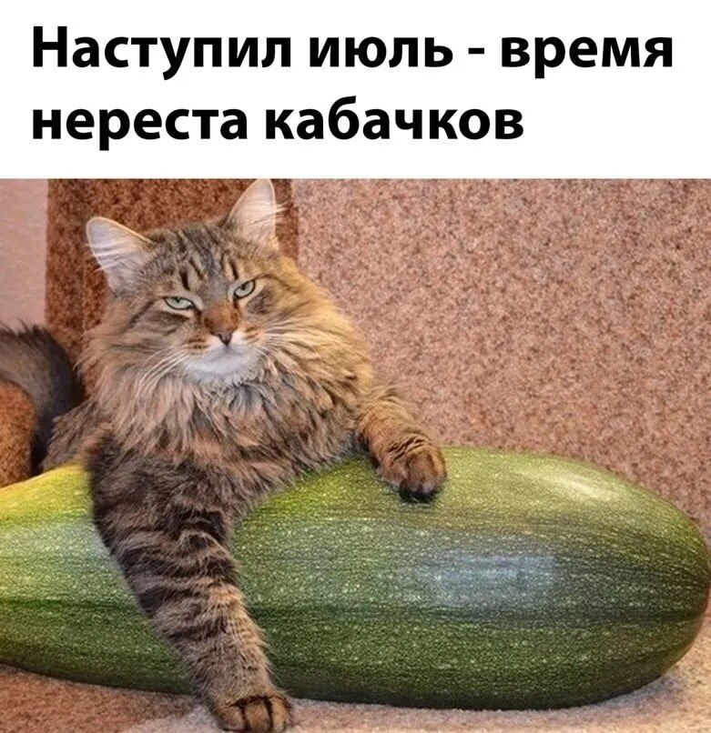 �������� ������ - 6 ���� 2026 � 08:34