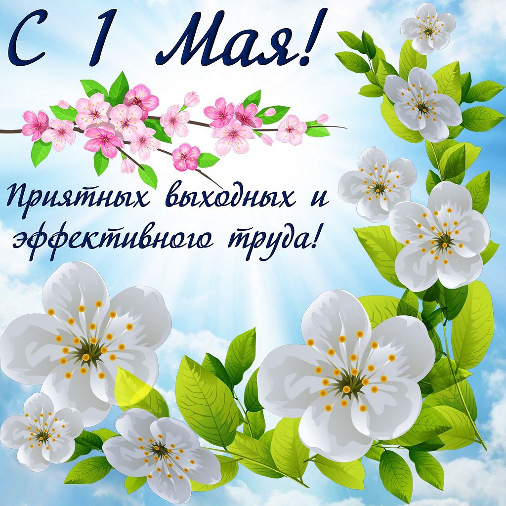   - 1  2025  01:01
