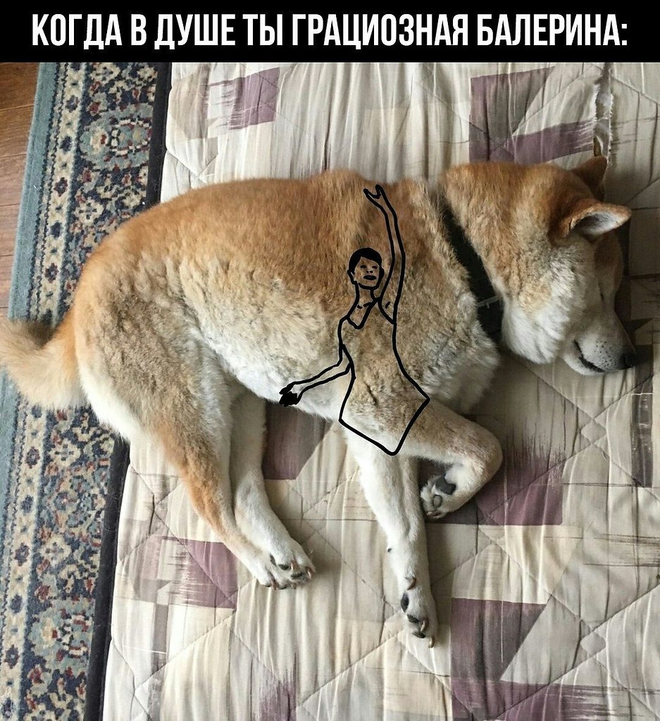    - 8  2023  22:11