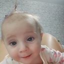 ���� ������, ������ ��������, 62 ���� - ��������� 12 ������ 2023 � ������ ���� ����������