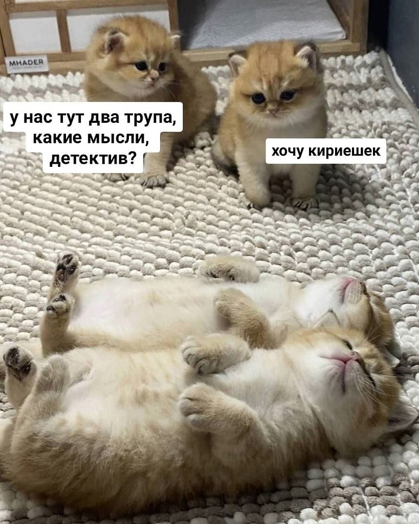    - 24  2024  11:37