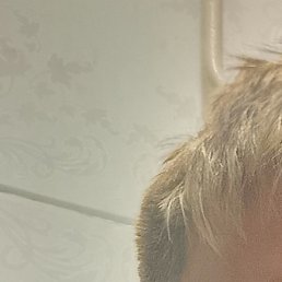 , , 18 
