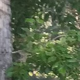 , , 51 