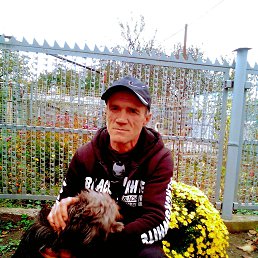 , 53, 