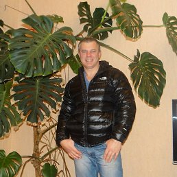 �����, �����������, 52 ����