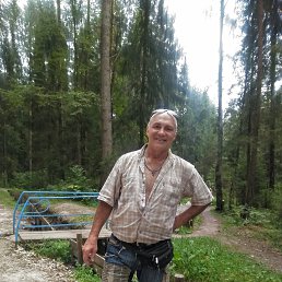 , 61 , 