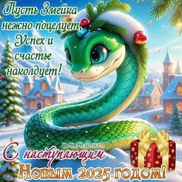 ���� ������, ����������, 51 ��� - ��������� 20 ������ 2025