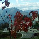 ���� ������, ��������, 58 ��� - ��������� 14 ������� 2026