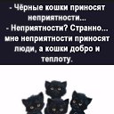 ���� �����, ���� - ��������� 14 ���� 2026 � ������ ���� ����������