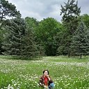 ���� ������, ���� - ��������� 4 ������� 2025 � ������ ���� ����������