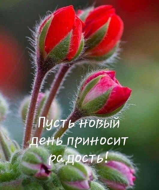   - 24  2023  07:55