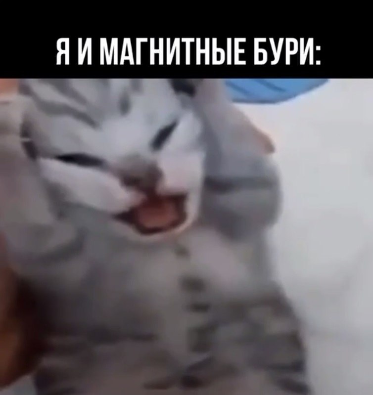   - 1  2025  17:13