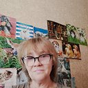 ���� ������, ������, 51 ��� - ��������� 26 ������� 2026 � ������ ���� ����������