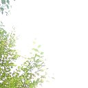 ���� �������, ��������� - ��������� 5 ������� 2024