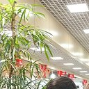 ���� Validjon, ������, 25 ��� - ��������� 23 ��� 2026 � ������ ���� ����������