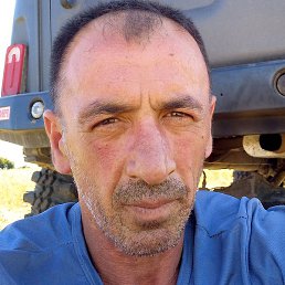 �����, ������, 46 ���