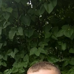 , 42, 