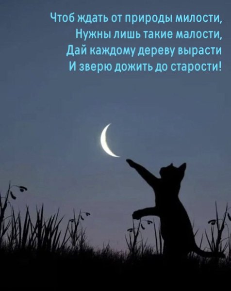  - 20  2024  11:41