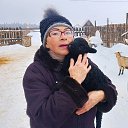  , -, 64  -  11  2025    