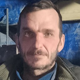 �������, ������, 48 ���