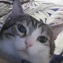 ���� �����, �����������, 40 ��� - ��������� 28 ������ 2024 � ������ ���� ����������