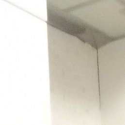 �����, �����������, 48 ���