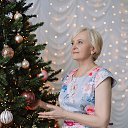 ���� ���� (����-221), ����� - ��������� 24 ������ 2026 � ������ ���� ����������