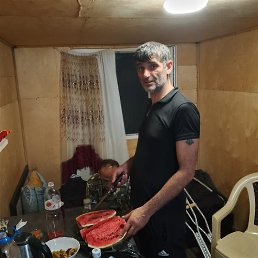 Kost, 37, 