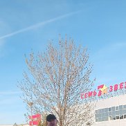 ����������, 43 ����, ���������