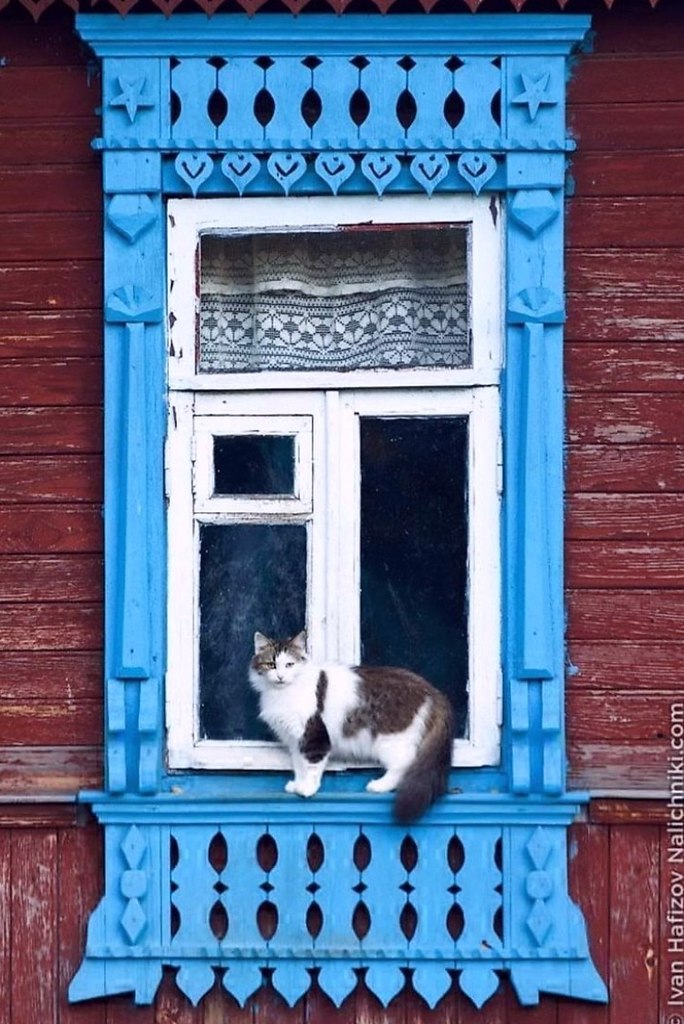 ��c����� ��o�� �������� - 3