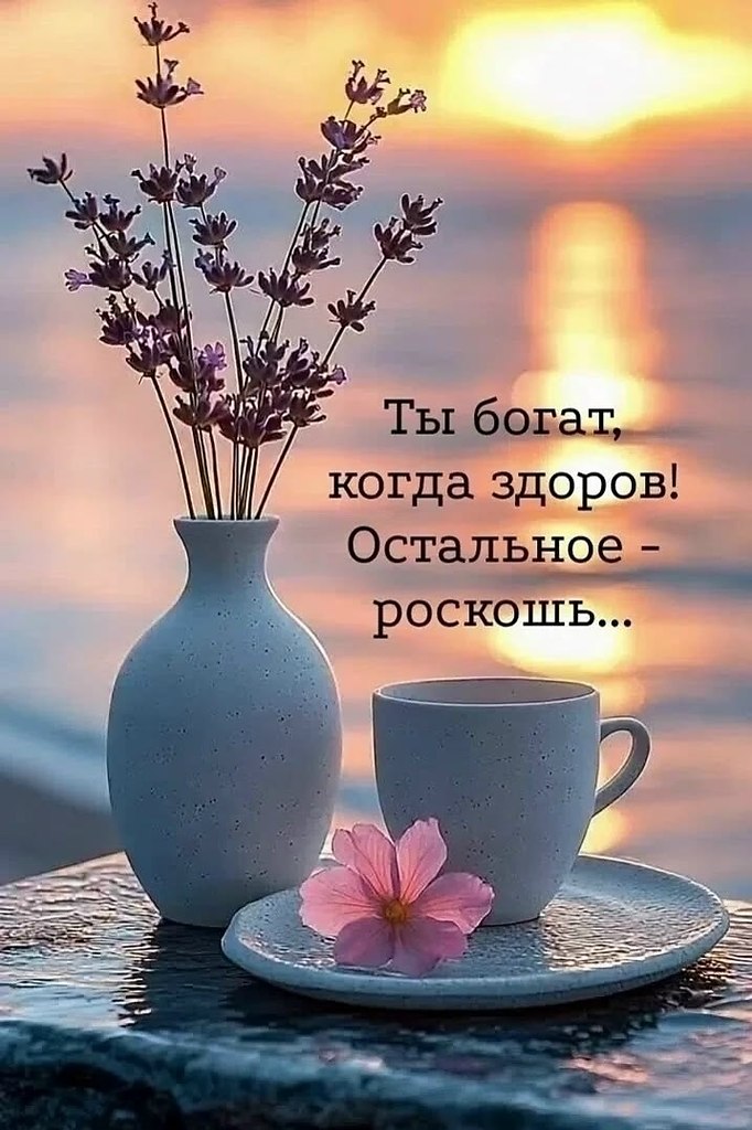 �������� ������ - 14 ���� 2026 � 15:18