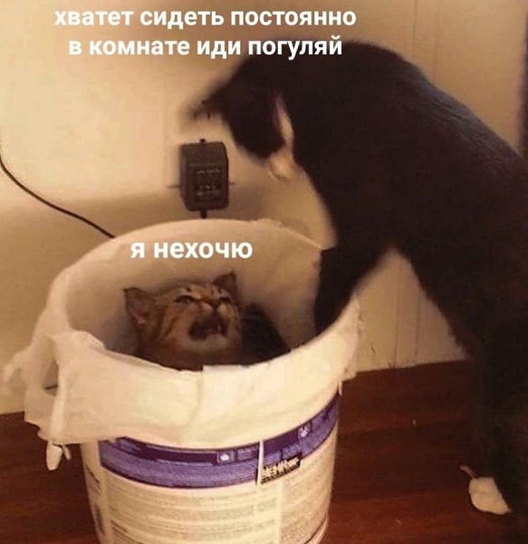 ��� �������� �������� - 27 ������� 2024 � 04:21